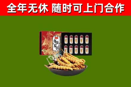 东城街烟酒回收冬虫夏草礼盒.jpg